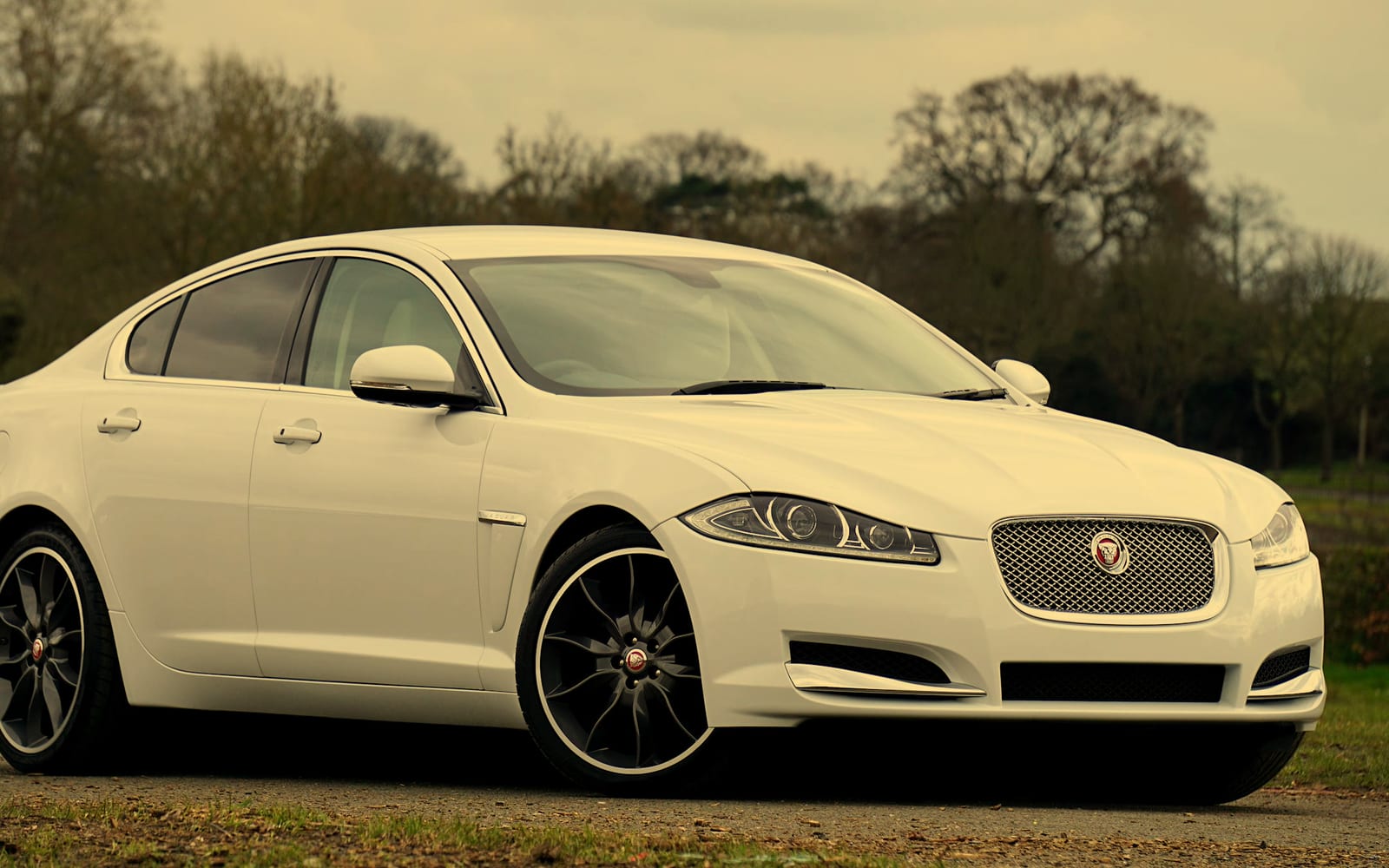 Jaguar XF · Executive Sedan