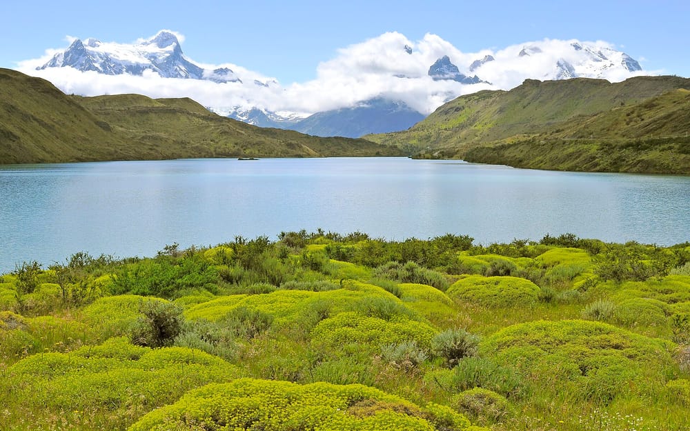 Lago Pehoé y el macizo Paine · Tourevo