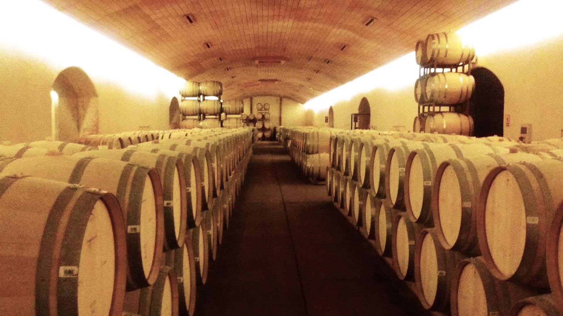 Don Melchor · Cellar Collection + Almuerzo · Puente Alto, Valle del Maipo · foto 2 de 2