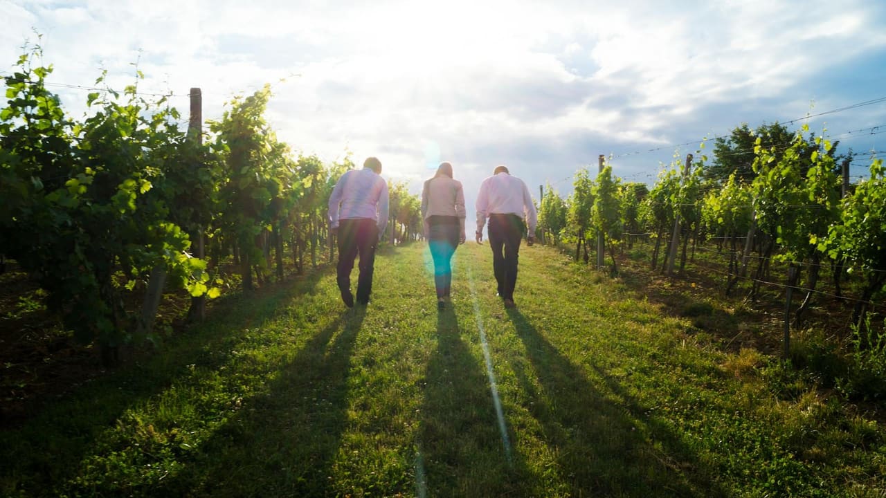 Valle del Maipo · Viñas Clásicas