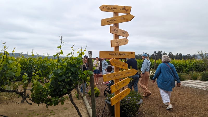 Viñedos del Valle de Casablanca, Chile · Sauvignon Blanc