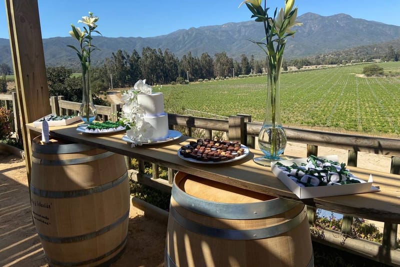 Bodega artesanal del Valle del Maule, Chile · País y Carignan de vides centenarias