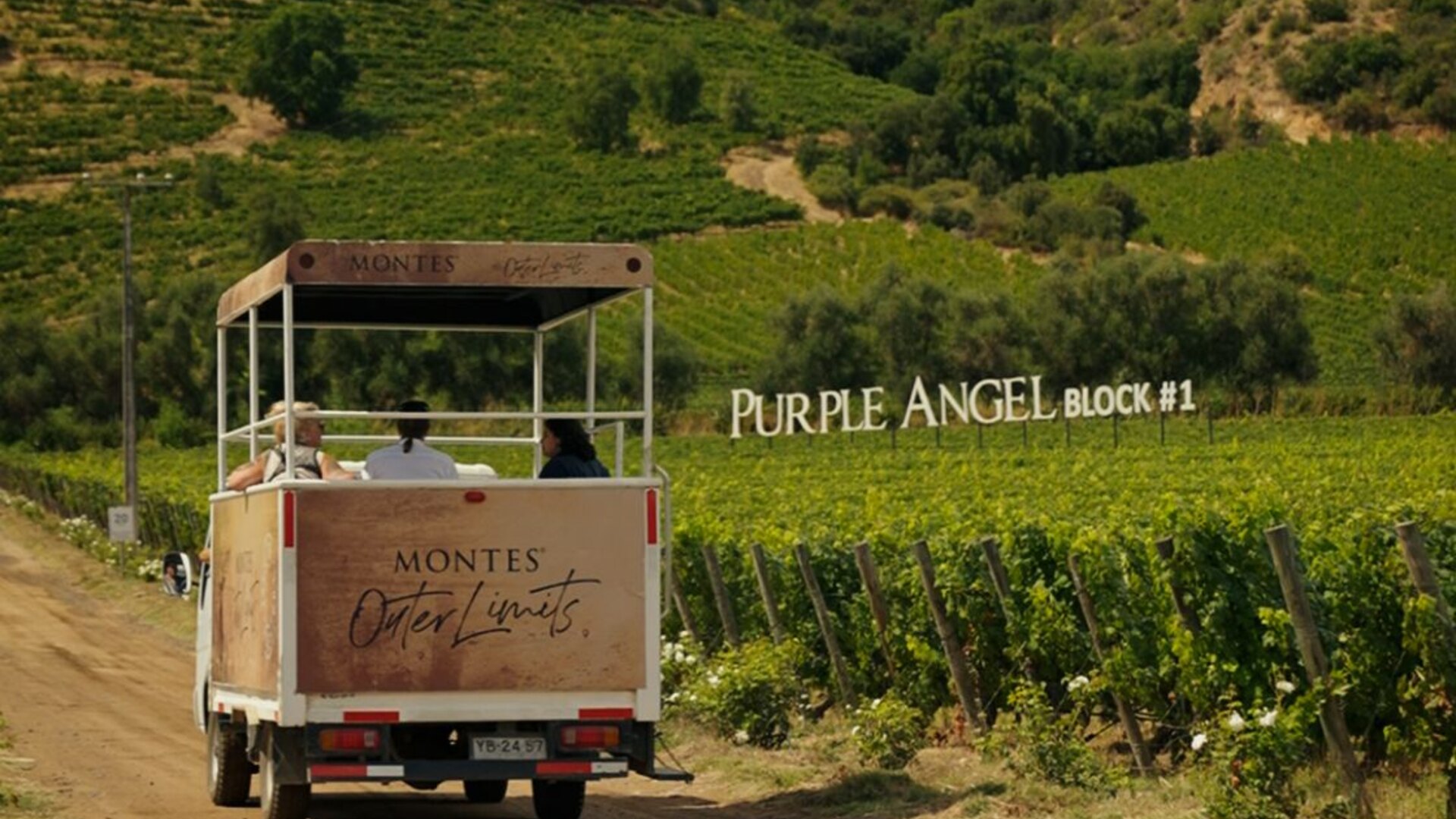 Viña Montes · Icon of Apalta