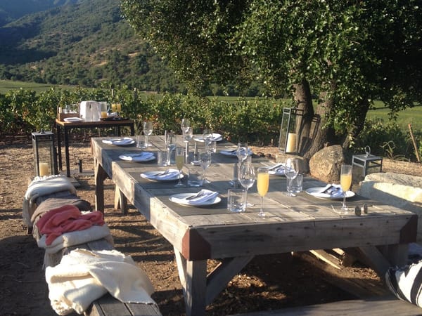 Picnic en viñedo