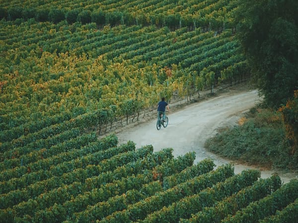Trekking & Bicicleta